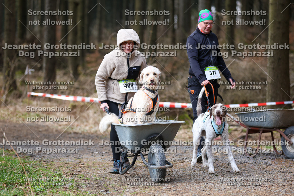 Dog Paparazzi - VCC26-673 | Dog Paparazzi Jeanette Grottendiek Fotografie & Videografie - Realisiert mit Pictrs.com