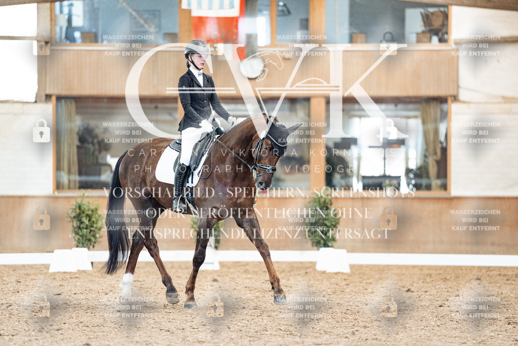 CK909471 | Turnierfotografie Pferdefotografie Trier Rheinland-Pfalz Pferdesport Reitsport Tierfotografie Sportfotografie Pferdevideo Pferdevideografie Equestrianvideography equestrianphotography  - Realized with Pictrs.com