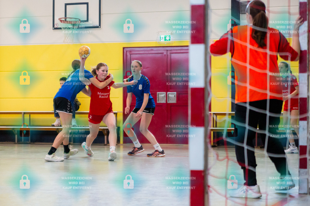 _HP_4529_3000o | JSG Welling/Bassenheim  wJ B2 gegen TV Bitburg 10.03.2024