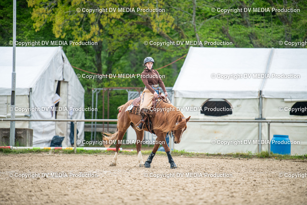 Heiligenwald Tag 1-1322 | dv-media-shop - Realisiert mit Pictrs.com