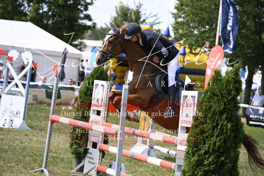 DSC_0375 | Pferde- und Turnierfotografie in Westsachsen. Pferdeportraits, Auftragszeichnungen und intuitive Kunst.