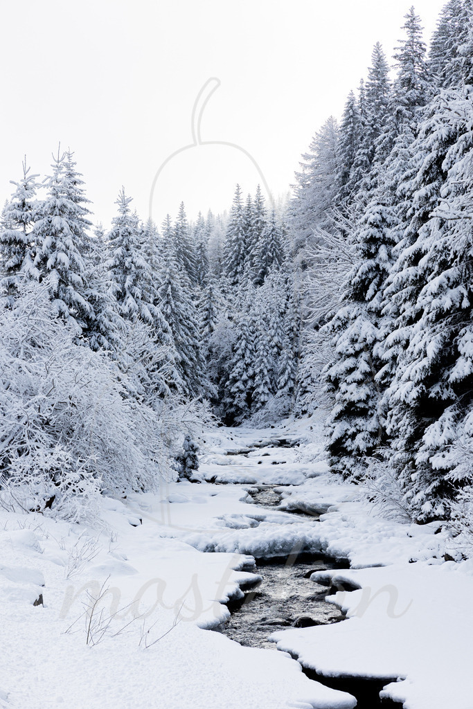 Der Bundschuhbach im Winterkleid | Ihre Fotografin im Lungau, ihre Fotografin im Mostviertel, Wandbilder Onlineshop, Imagefotos für Ihr Unternehmen,  - Realisiert mit Pictrs.com