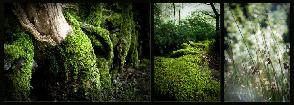 somewhere only we go | Stimmungsvolle Fotografien von Dorit Fuhg. Kaufen Sie bequem hochwertige Fine-Art Drucke, Wandbilder und Kalender hier im Online-Shop. - Realisiert mit Pictrs.com