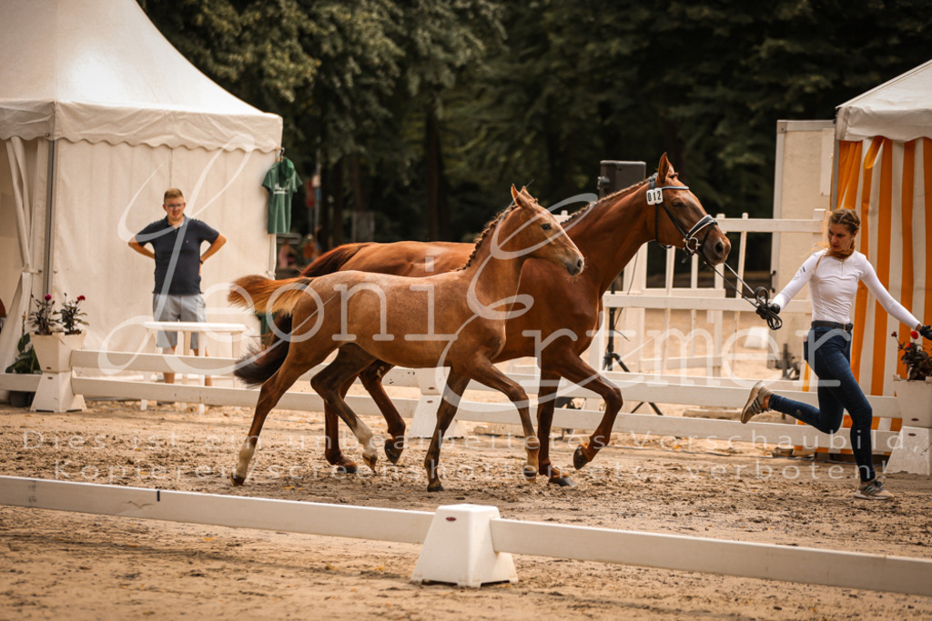 SaPA00172 | Leoni Ertmer Photography - Realisiert mit Pictrs.com