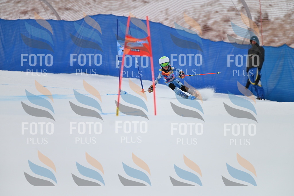 BGV_1501 | holidayphoto