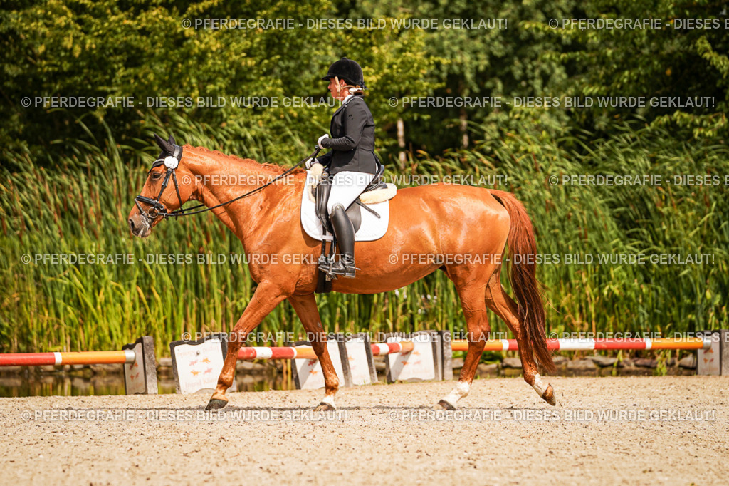 DSC01884 | Pferdegrafie