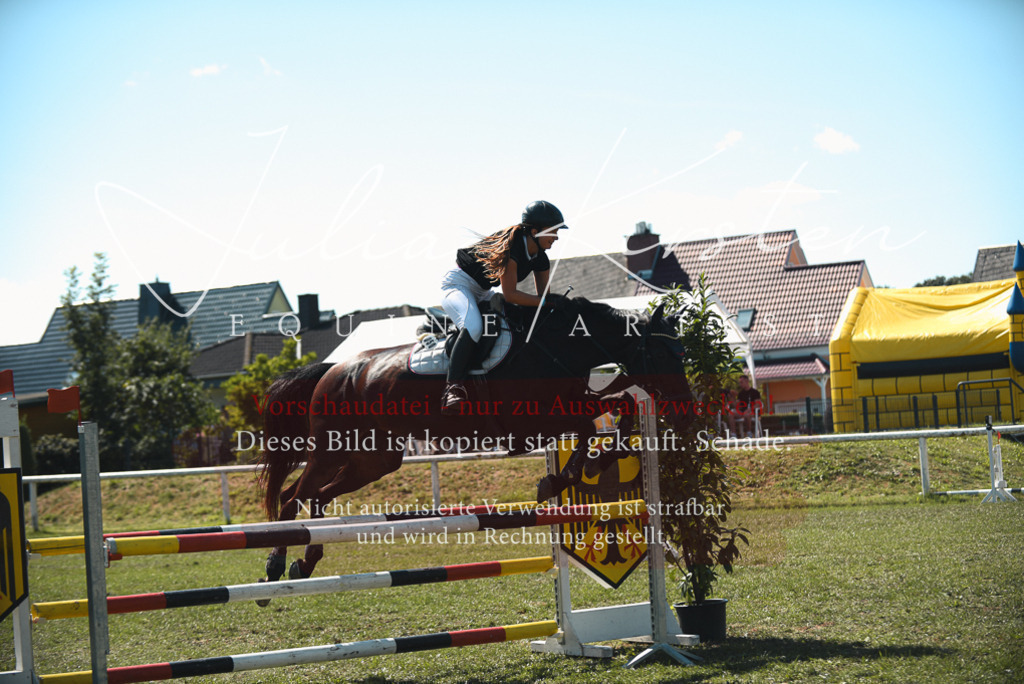 DSC_7082 | Pferde- und Turnierfotografie in Westsachsen. Pferdeportraits, Auftragszeichnungen und intuitive Kunst.