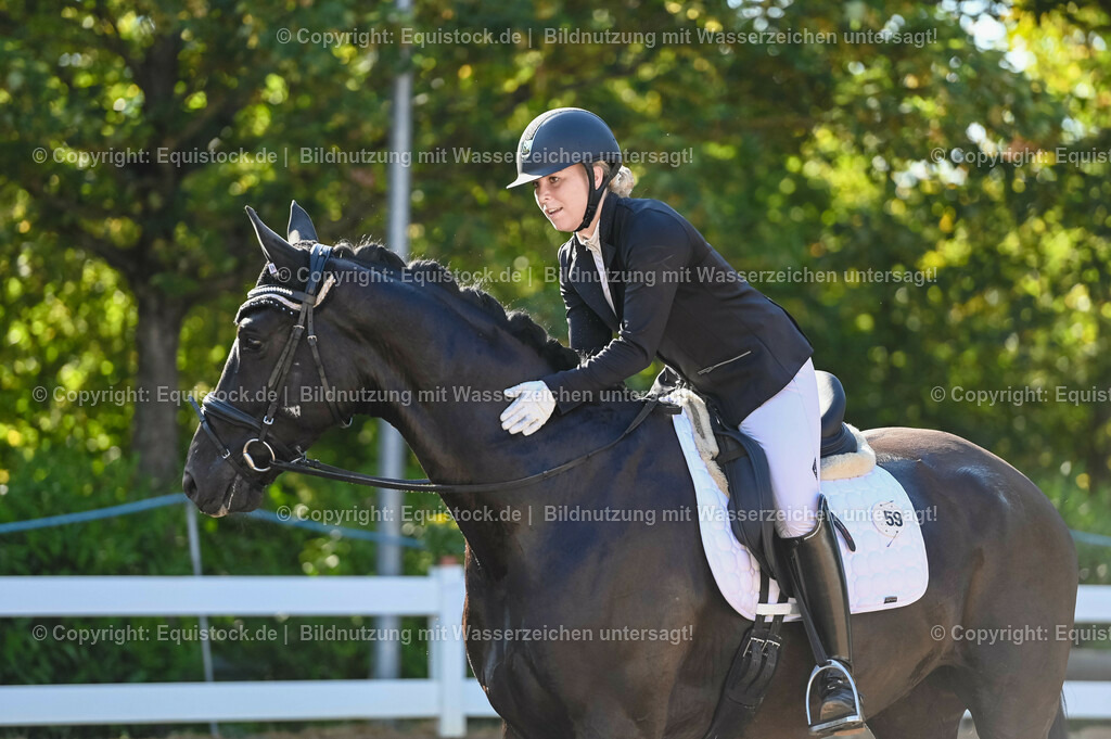 20230715_06_Dressurpferdeprfg. Kl.A_0113 | equistock