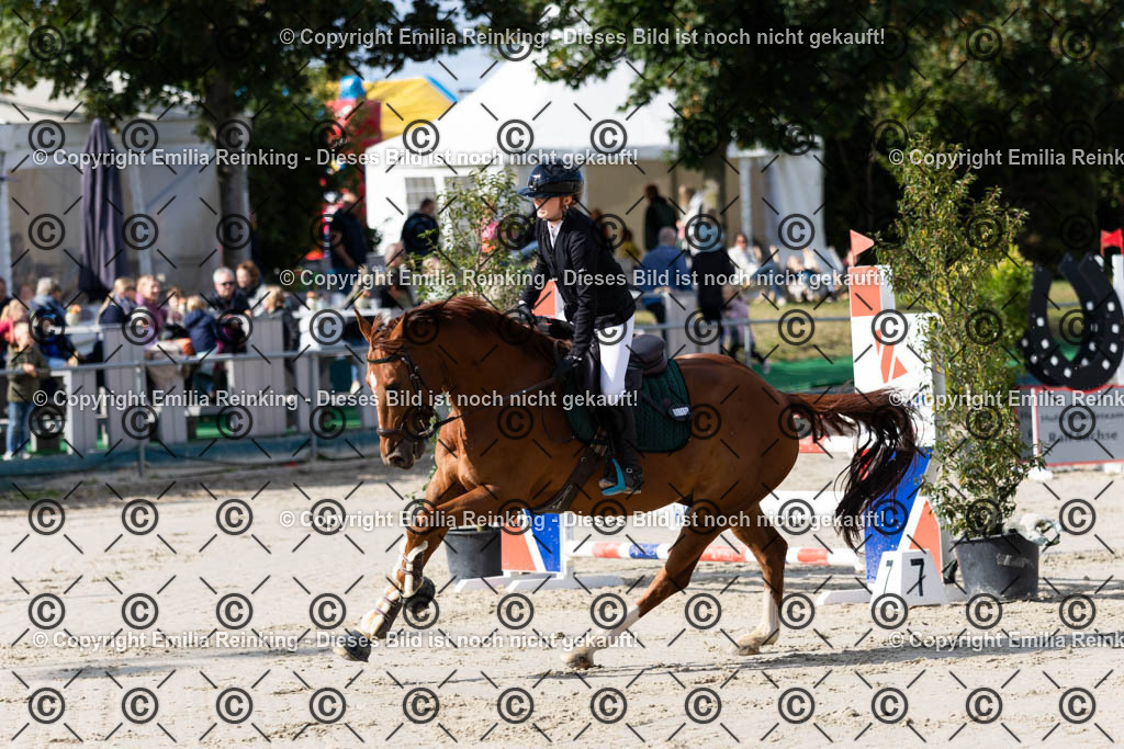 CL5A2278 | Emilia Reinking Fotografie - Realisiert mit Pictrs.com