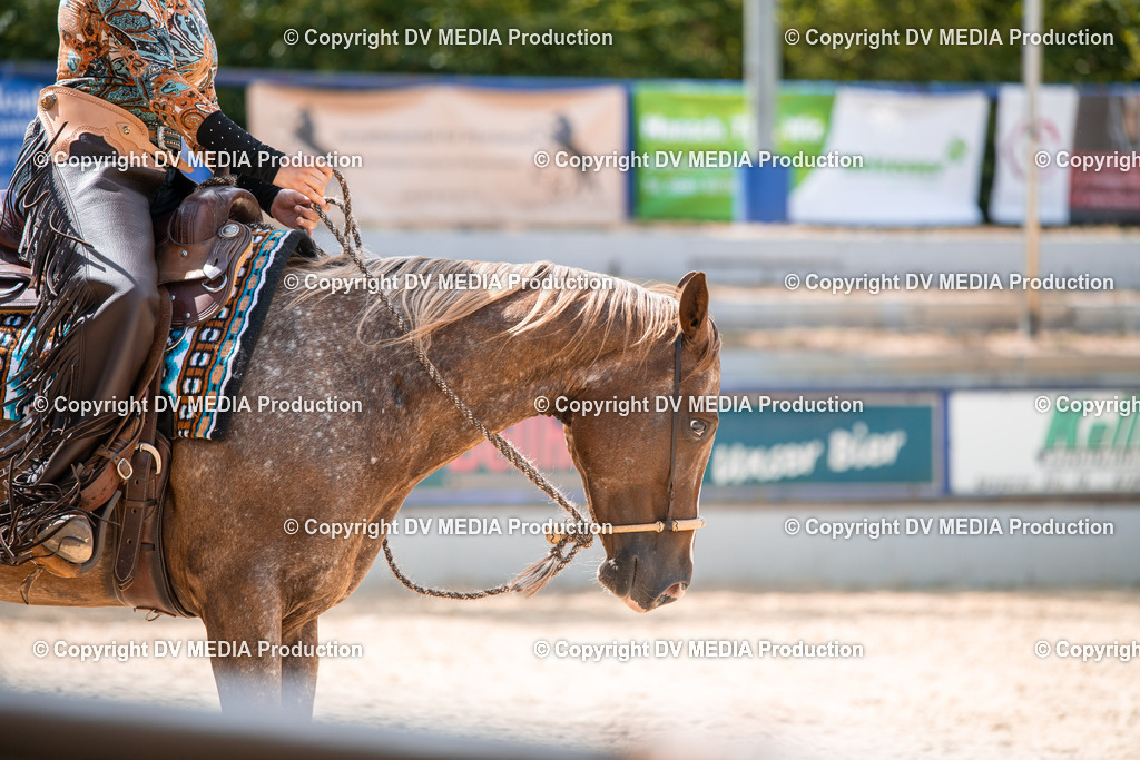 EWP_6692 | dv-media-shop - Realisiert mit Pictrs.com