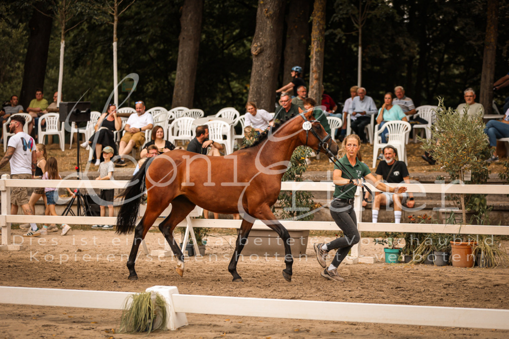 08.So00003 | Leoni Ertmer Photography - Realisiert mit Pictrs.com