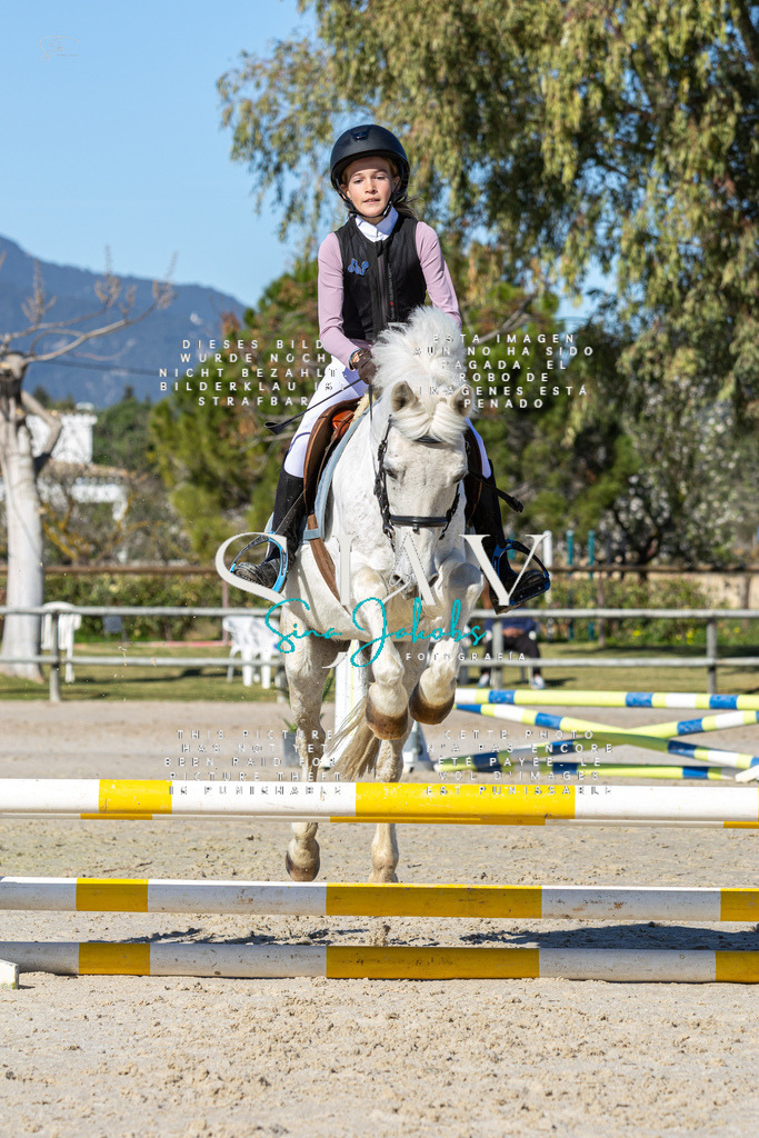 IMG_8571 | s-jay-photography - Realisiert mit Pictrs.com