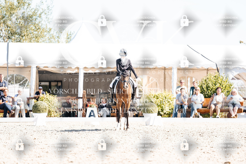 CK909595 | Turnierfotografie Pferdefotografie Trier Rheinland-Pfalz Pferdesport Reitsport Tierfotografie Sportfotografie Pferdevideo Pferdevideografie Equestrianvideography equestrianphotography  - Realisiert mit Pictrs.com