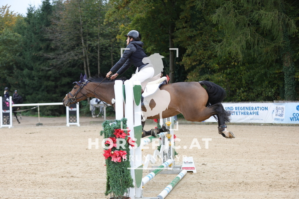 0P6A3313 | Willkommen bei Brunnmayr - Design & Fotografie – Ihrem Spezialisten für Reitturniere und Pferdeveranstaltungen in Oberösterreich, Salzburg und Bayern! Seit über 17 Jahren sind wir leidenschaftlich dabei.