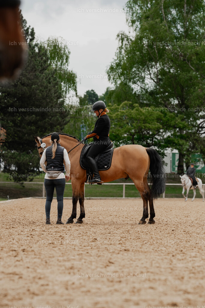 Showprogramm-41 | working equitationturnier fotograf videograf stoibphotography marixx film working equitation deutschland reitsport turnierfotografie eventfotografie equestrian events