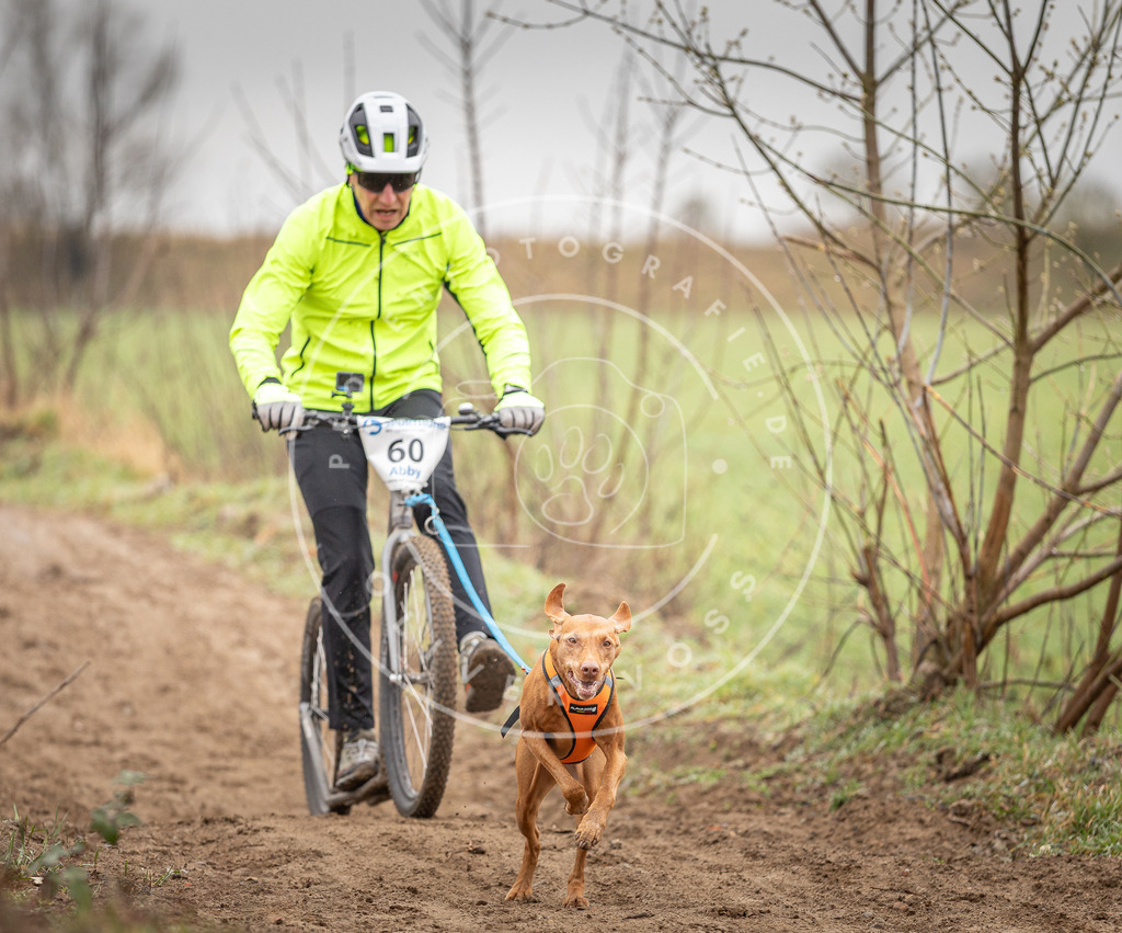 DV3A9360 | Hundefotografie, Tierfotograf, Pfotenfotografie, Fotoshooting Hund, Hunde Portrait, Hundesport, Hundeportraits, Heideshooting, Hunde, Sportfotograf, Hundefotograf, Turnierhundsport, THS,  - Realisiert mit Pictrs.com