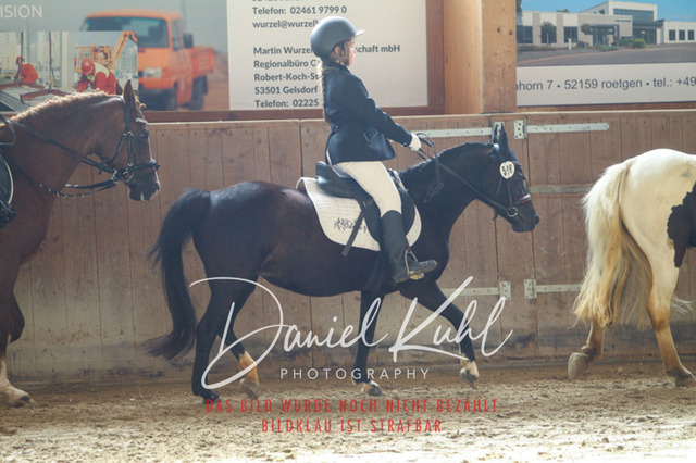 DKP44998 | Turniersportfotografie; Pferdefotografie; Dressurfotografie