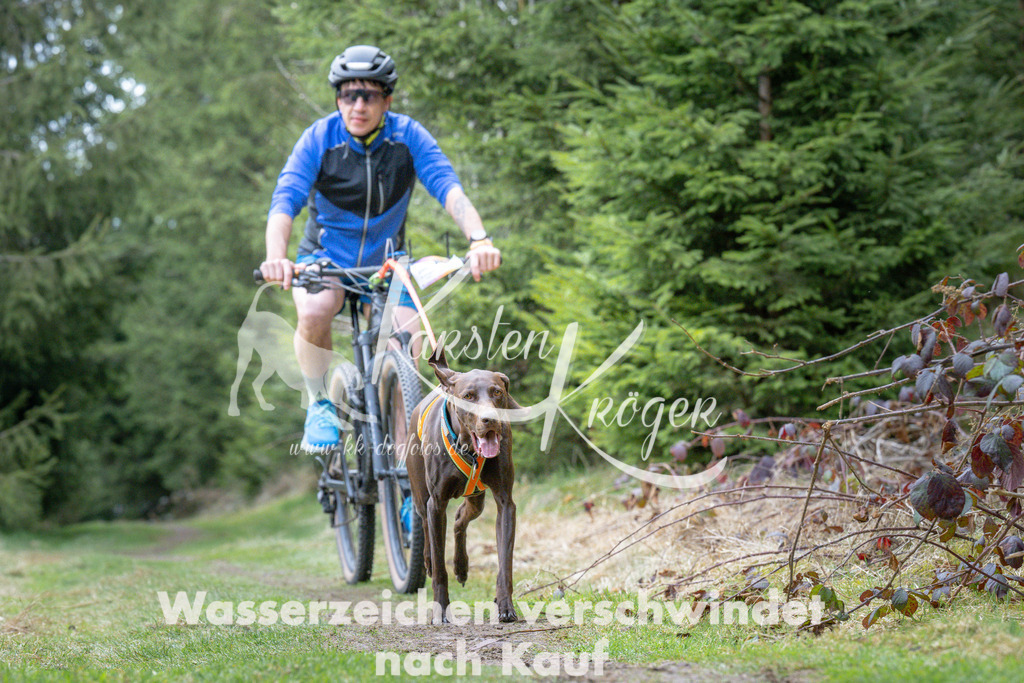 1312_ZZ94033 | kk-dogfotos