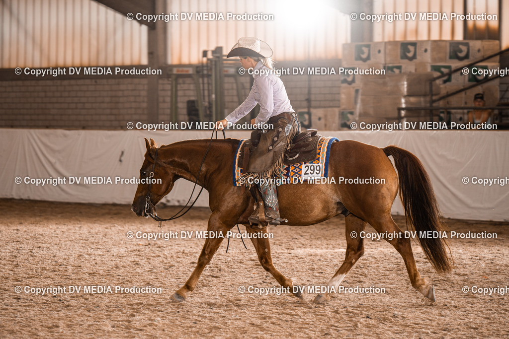 ZH300490 | dv-media-shop - Realisiert mit Pictrs.com