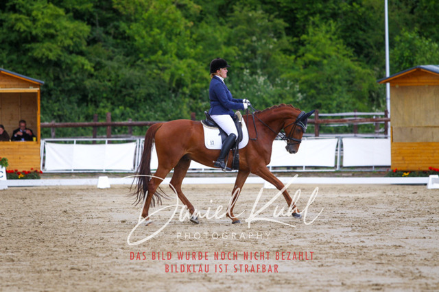 DKP46097 | Turniersportfotografie; Pferdefotografie; Dressurfotografie