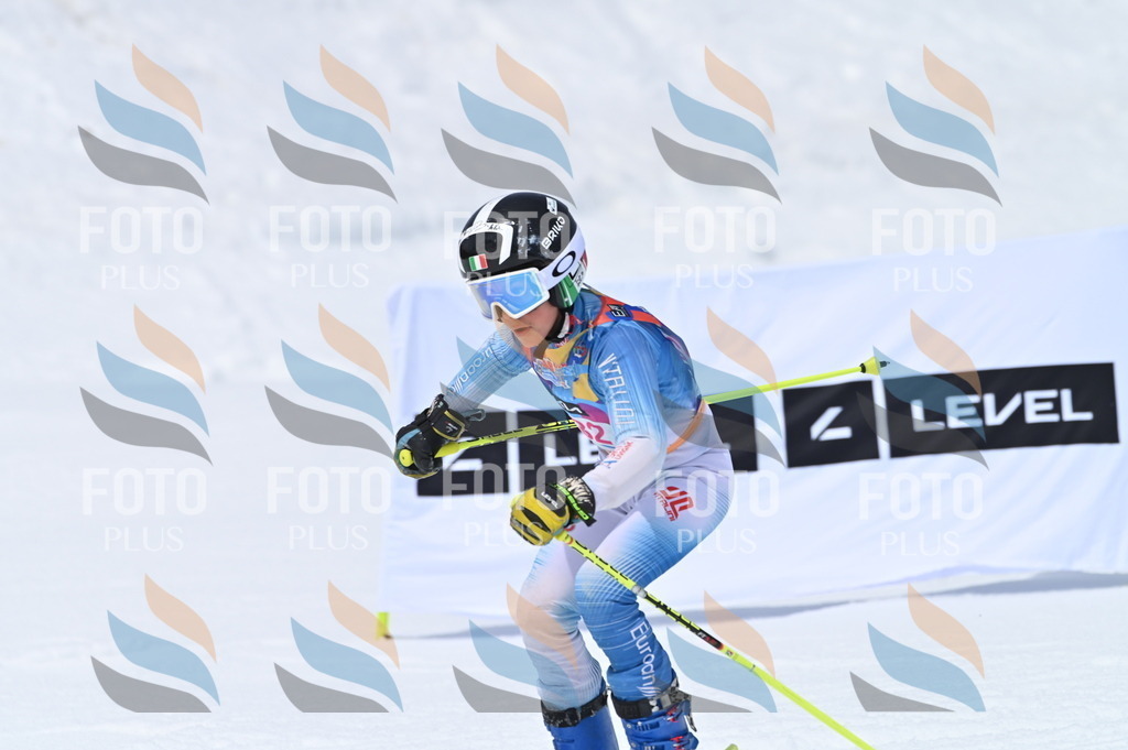 BGV_2454 | holidayphoto