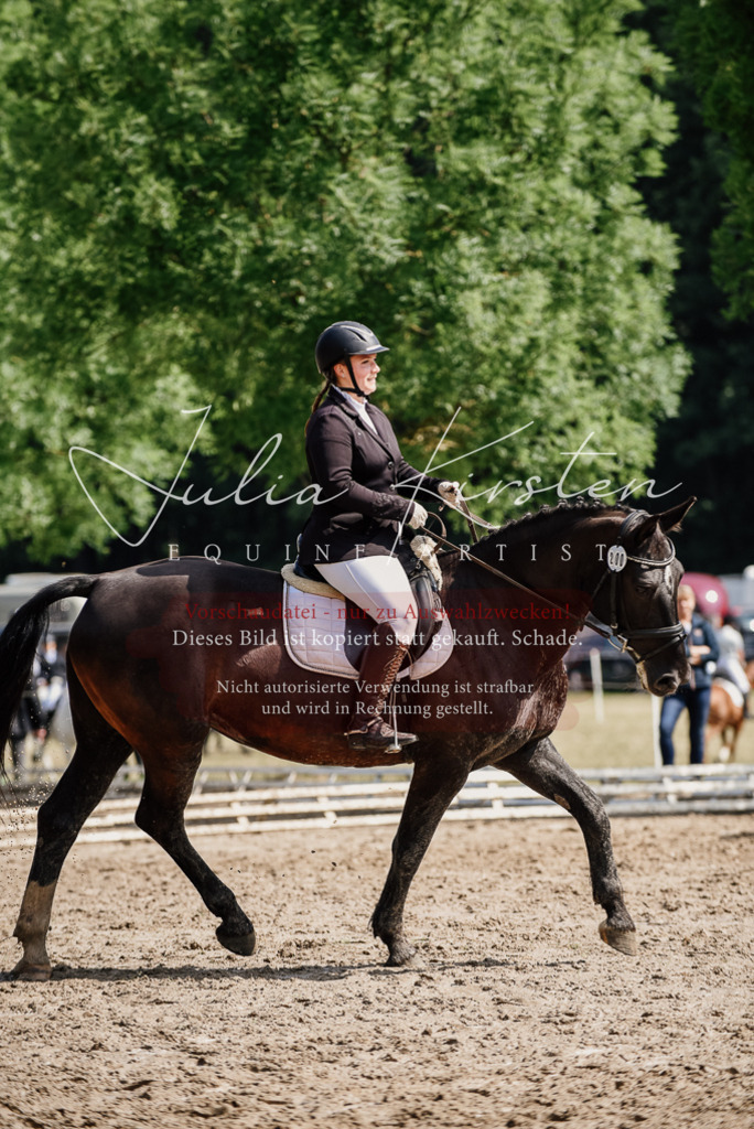 DSC_0247 | Pferde- und Turnierfotografie in Westsachsen. Pferdeportraits, Auftragszeichnungen und intuitive Kunst.