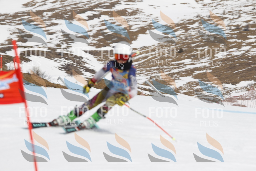 _U3G2853 | holidayphoto