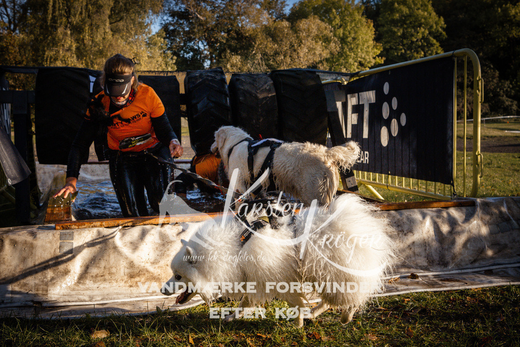 0929_ZZ91130 | kk-dogfotos