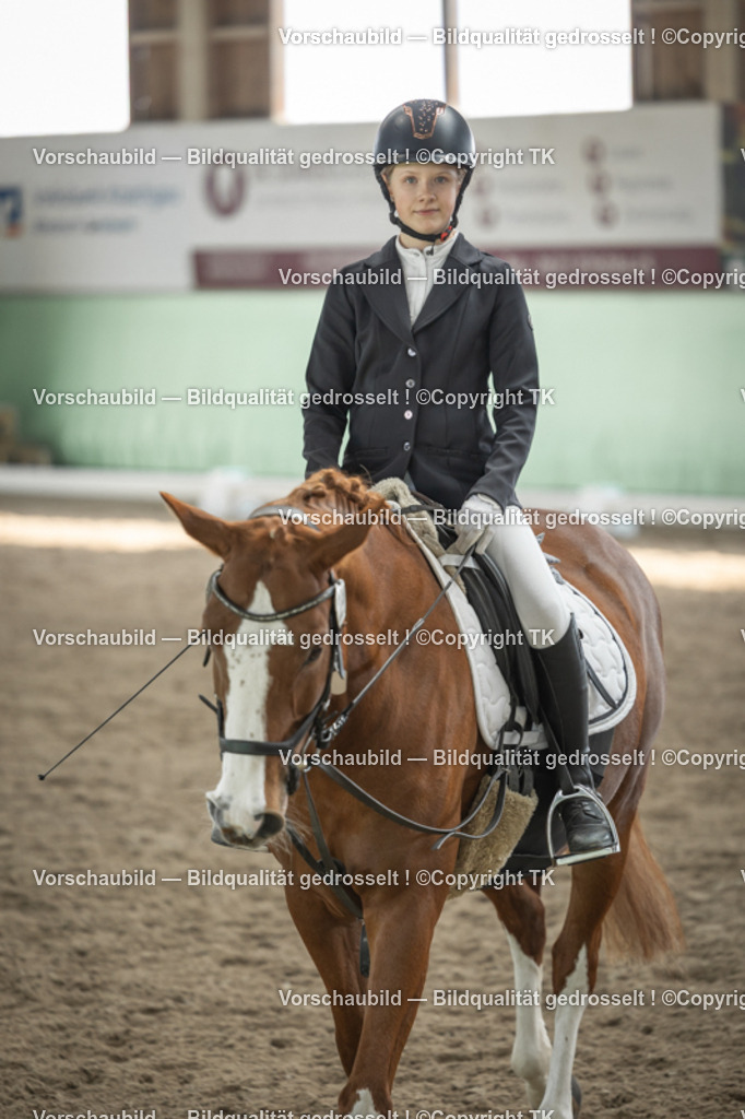 _D5A5508 | Emotionale Pferde- & People-Fotografie rund um Heidelberg, Leimen & Umgebung. Natürliche Fotos von Pferd, Mensch & Familie. Jetzt Termin sichern!