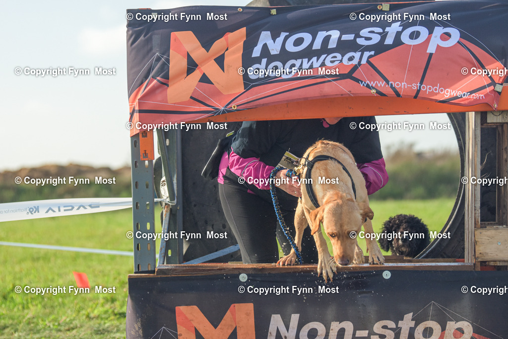 DSC_0165 | Hallo und herzlich Willkommen auf meiner Shop-Seite Fynn Most.

Ich wünsche Dir viel Spaß beim stöbern durch die Bilder, wenn Du Fragen hast oder Bilder vermisst, kannst du mir gerne eine Nachricht schreiben. - Realisiert mit Pictrs.com