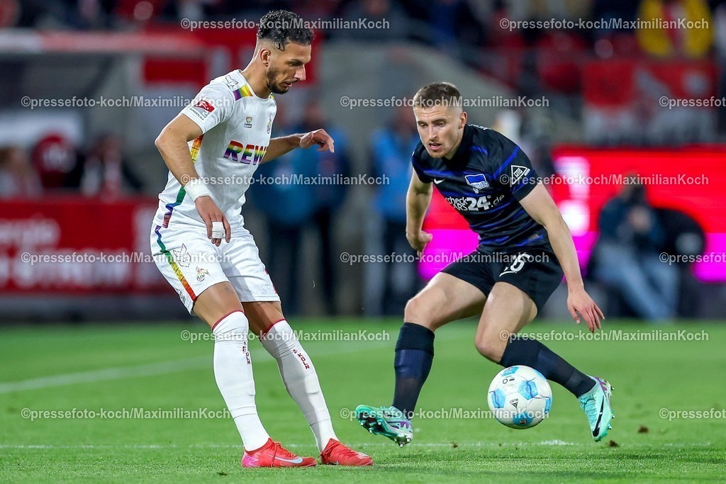 1FC05042501023 | 05.04.2025, Fußball, 1. FC Köln - Hertha BSC, 2.. Fußball Bundesliga, 28. Spieltag, RheinEnergie-STADION, Saison 2024 2025: Leart Pacarada (FC Koeln #17) im Zweikampf gegen Luis Trus (Hertha BSC #36) DFB regulations prohibit any use of photographs as image sequences and or quasi-video.