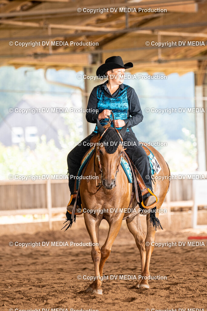 Erbach Tag 1-211 | dv-media-shop - Realisiert mit Pictrs.com