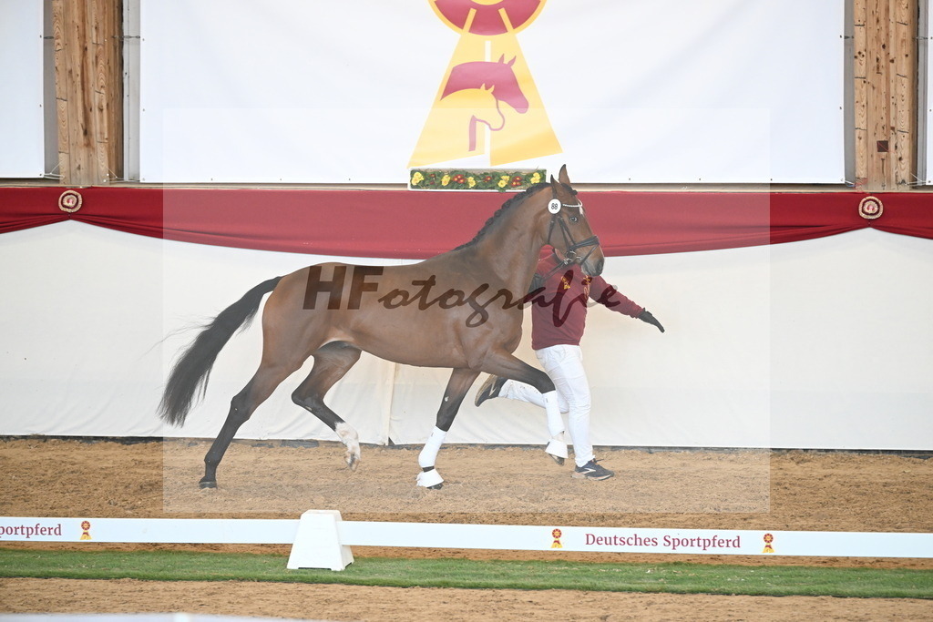 Kat.-Nr. 88 v. Vitalis_Schlamminger_2250665 | hf-fotografie - Realisiert mit Pictrs.com