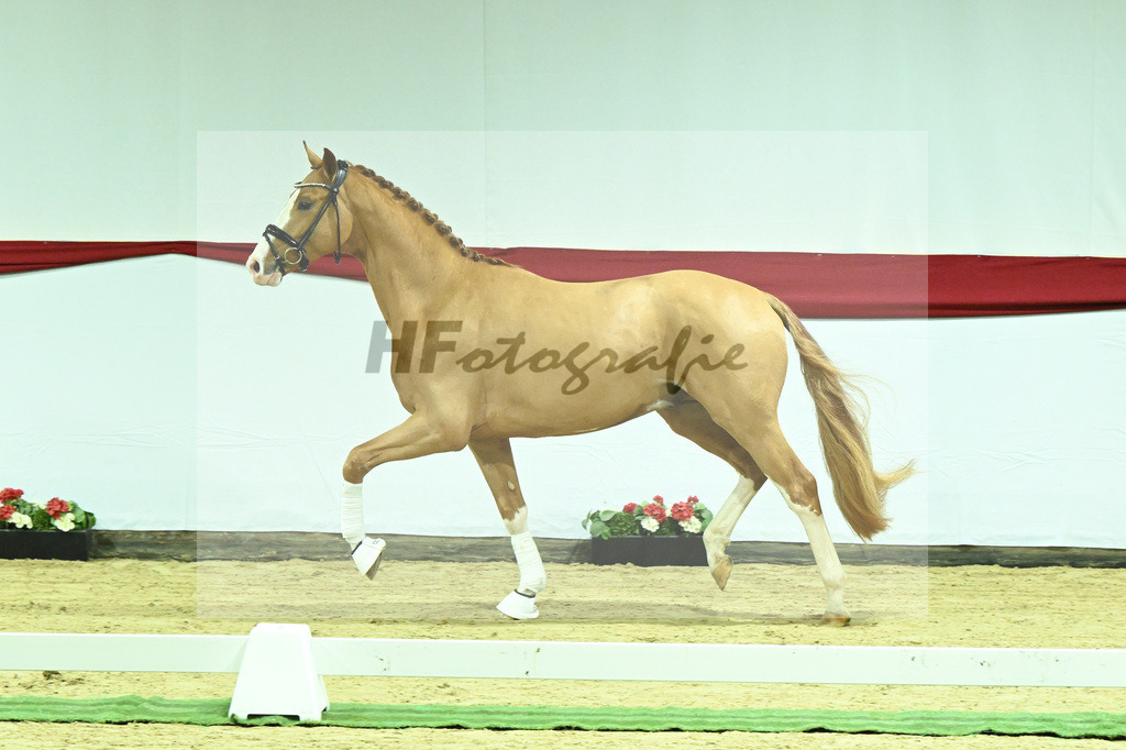 Kat-Nr. 10 v. Fuerst Samarant_Beckmann_63220027 | hf-fotografie - Realizzato con Pictrs.com