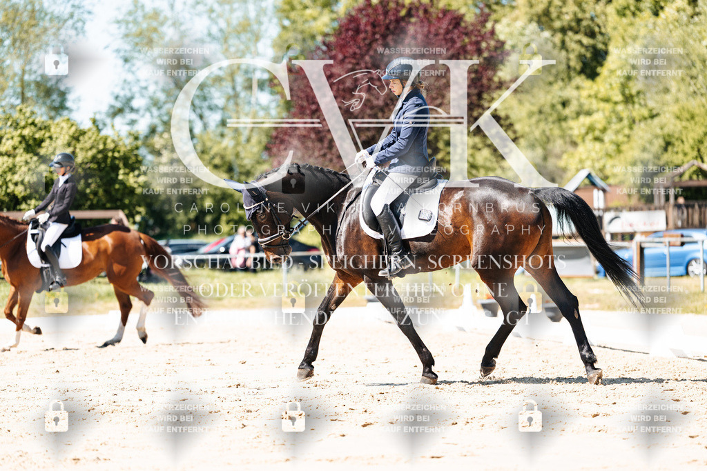 CK905307 | Turnierfotografie Pferdefotografie Trier Rheinland-Pfalz Pferdesport Reitsport Tierfotografie Sportfotografie Pferdevideo Pferdevideografie Equestrianvideography equestrianphotography  - Realisiert mit Pictrs.com