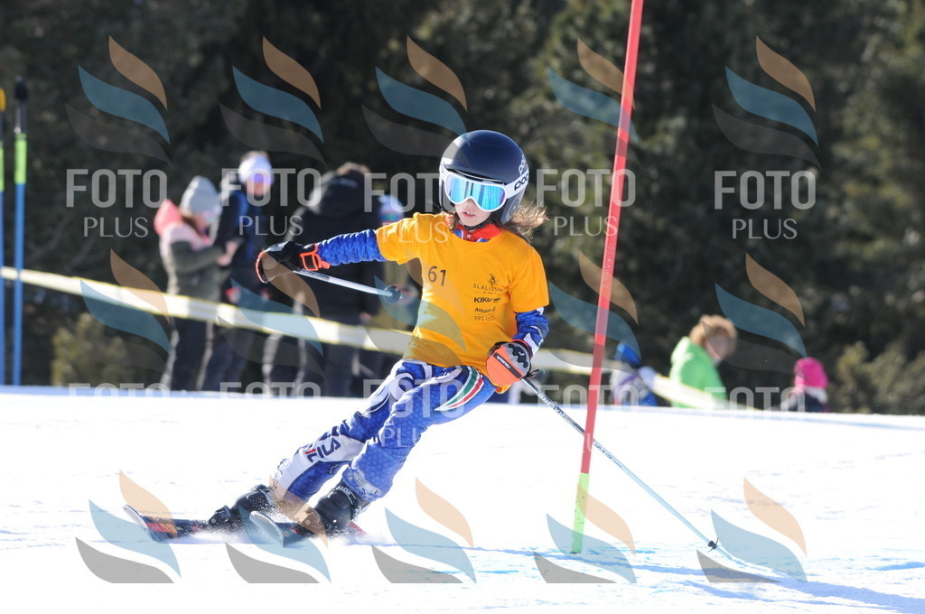 C6910 | holidayphoto