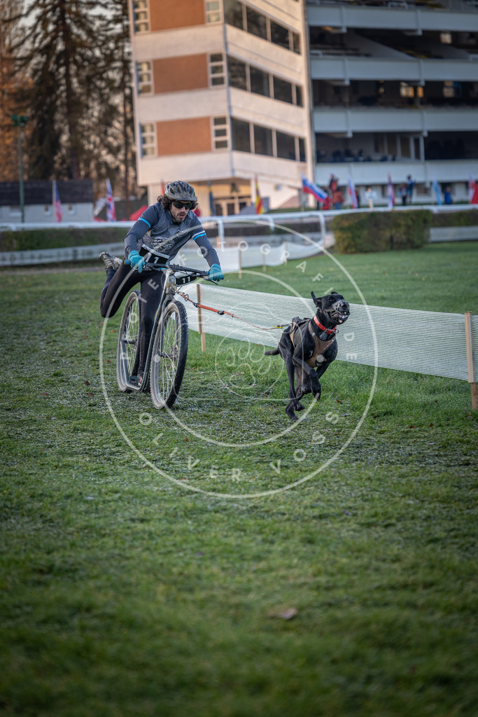 CaniXpix_0L8A1095 | Hundefotografie, Tierfotograf, Pfotenfotografie, Fotoshooting Hund, Hunde Portrait, Hundesport, Hundeportraits, Heideshooting, Hunde, Sportfotograf, Hundefotograf, Turnierhundsport, THS,  - Realisiert mit Pictrs.com