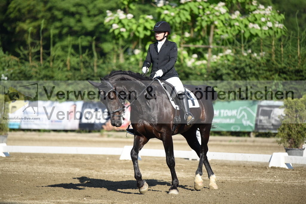 DSC_6890 | equestrian-live-com