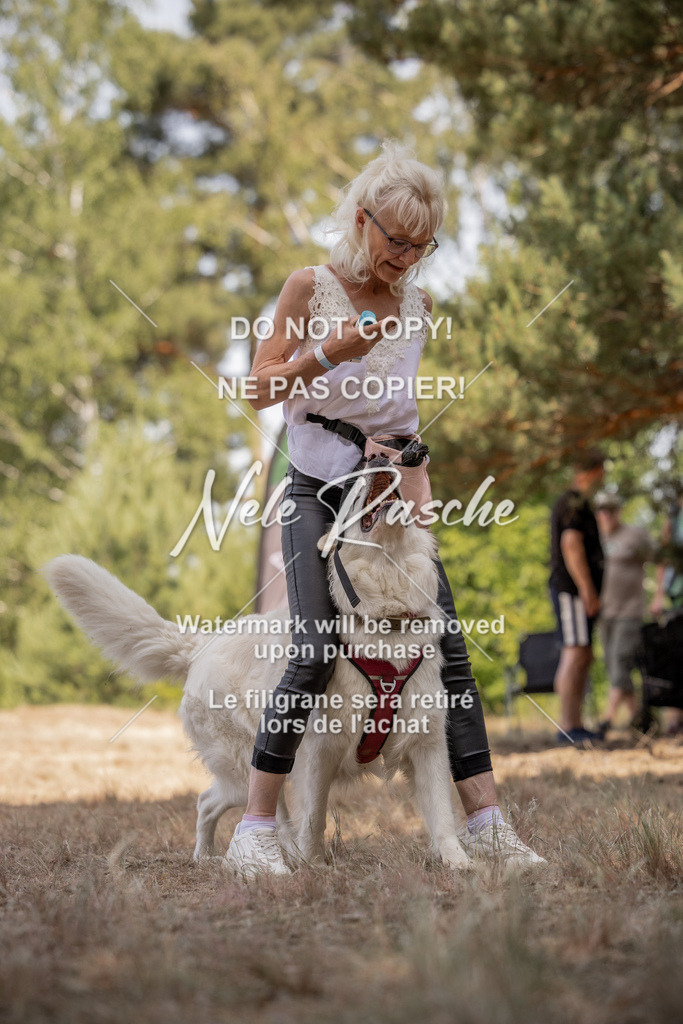 nelerasche_soDD2_196 | nelerasche