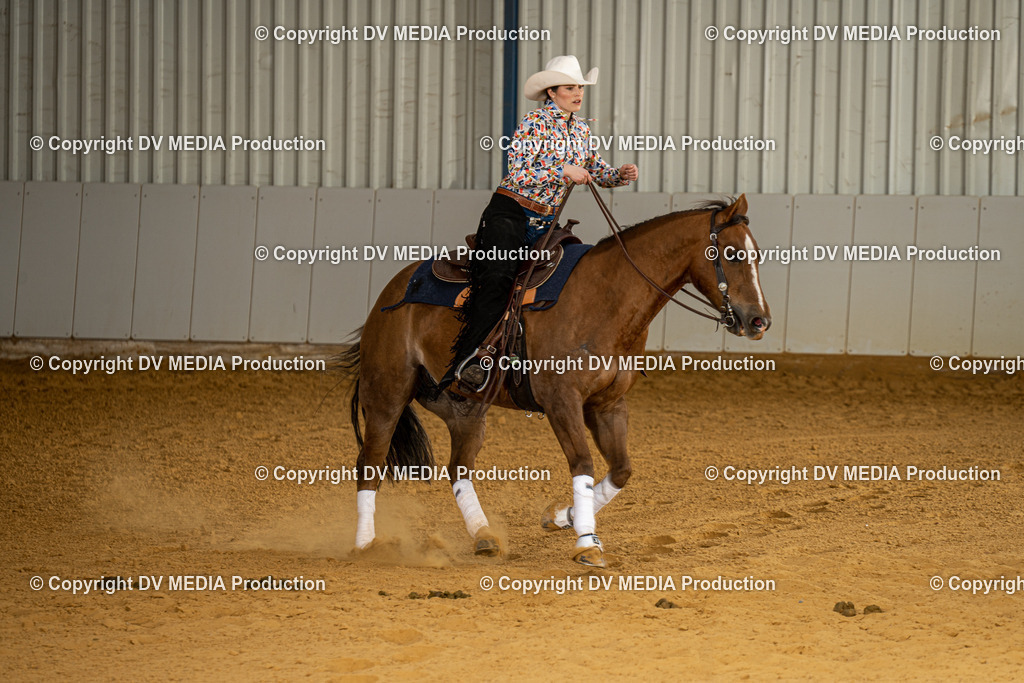 MIT00190 | dv-media-shop - Realisiert mit Pictrs.com