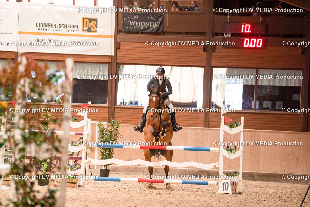 Springen Tag 3-032 | dv-media-shop - Realisiert mit Pictrs.com