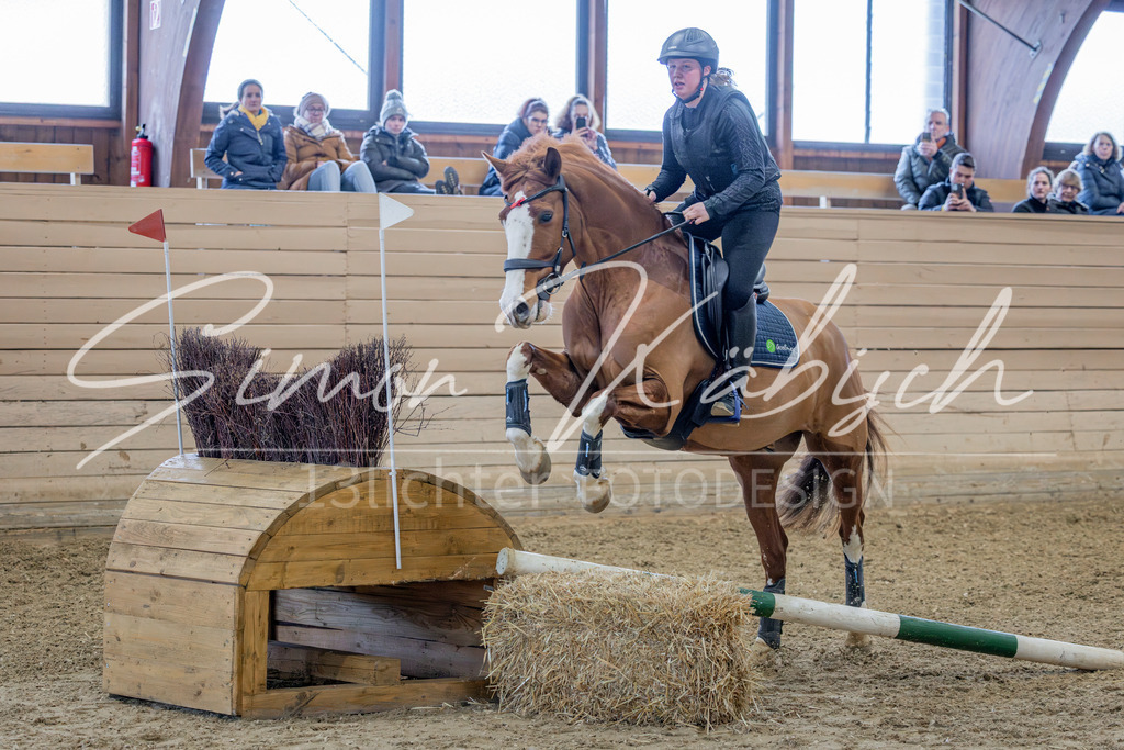 20260222-_3LI1706 | Tierfotografie Pferde, Hunde, Katzen, Haustiere.
Turnierfotografie Reitturniere, Reiten, Springreiten, Dressur in Hanau, dem Main-Kinzig-Kreis und dem Rhein-Main- Gebiet um Frankfurt