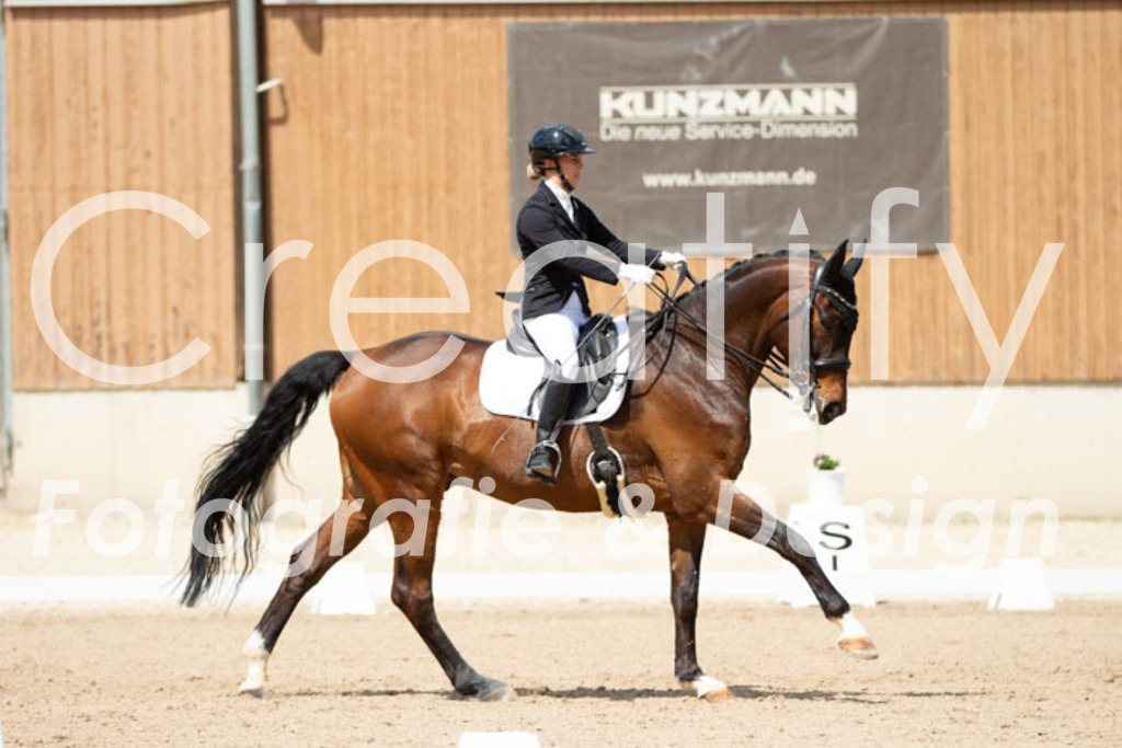 IMG_5818 | Creatify Fotografie