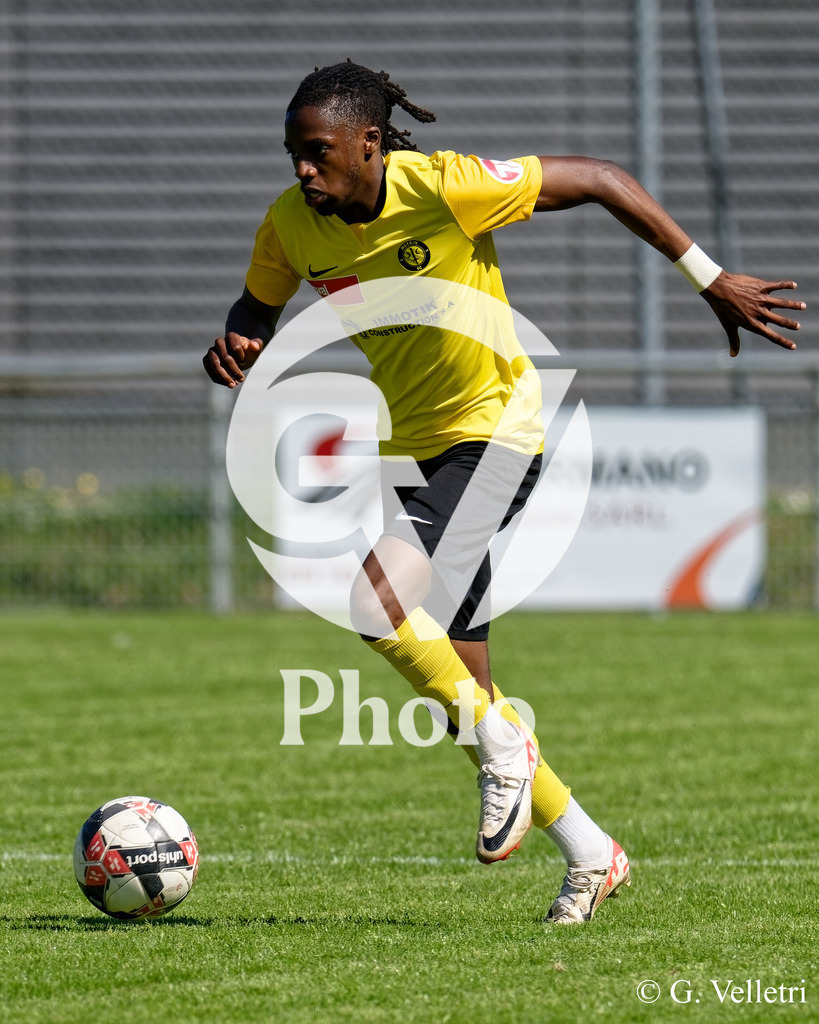 DSC_8224 | Velletri Photo