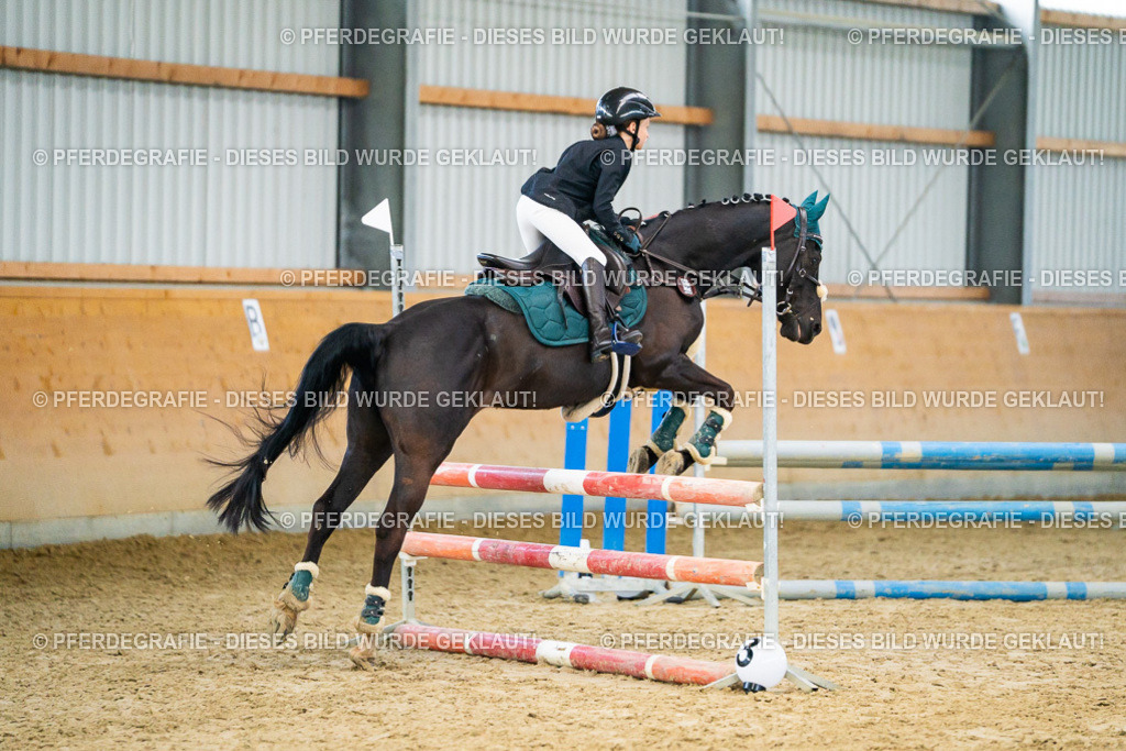 DSC00502 | Pferdegrafie