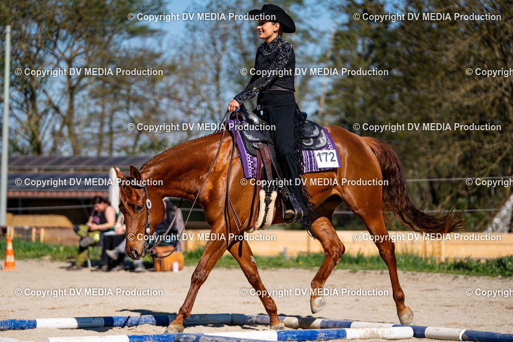 Balingen Tag 1-800 | dv-media-shop - Realisiert mit Pictrs.com