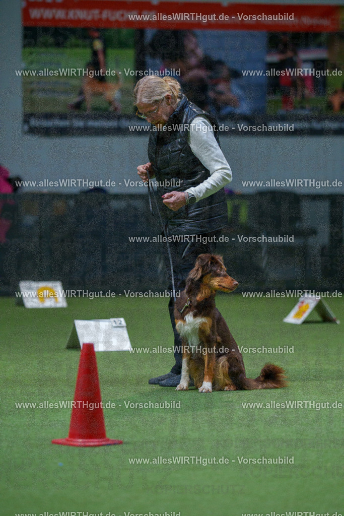 7R501372 | Professionelle Tierfotografie in Mönchengladbach von Daniel Wirth (allesWIRTHgut). Liebevolle & natürliche Bilder von Hunden & Katzen für unvergessliche Erinnerungen.