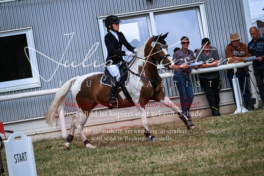 DSC_8538 | Pferde- und Turnierfotografie in Westsachsen. Pferdeportraits, Auftragszeichnungen und intuitive Kunst.