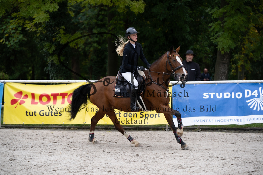 A7V08088 | Pferdefotograf