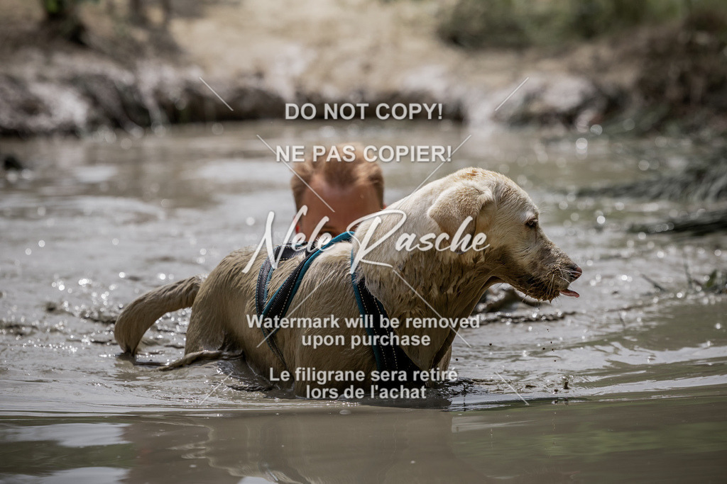 nelerasche_so1300-1330_188 | nelerasche